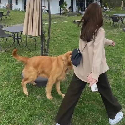 一妻两夫